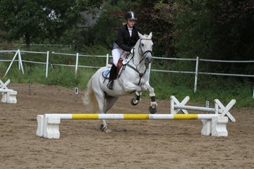 Bild 1258 - WBO-Turnier am 18.9.11
